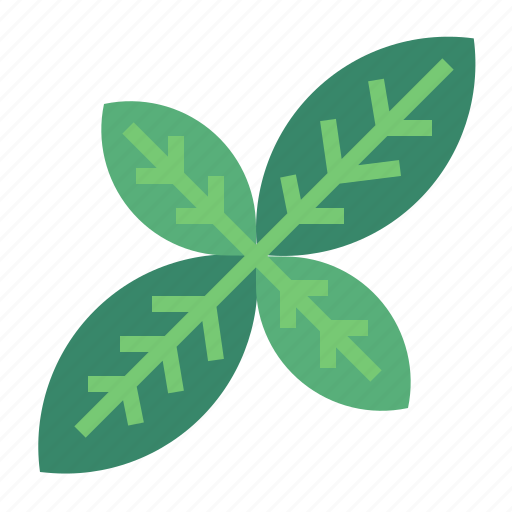 Basil, herb, herbs, plant icon - Download on Iconfinder