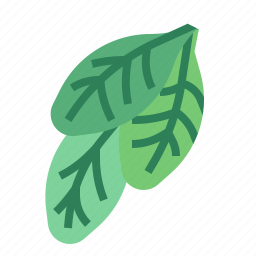 Food, herba, spinach, vegetable icon - Download on Iconfinder