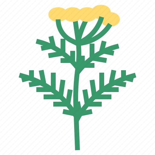 Food, herb, tansy, vegetable icon - Download on Iconfinder