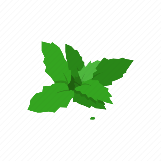 Aroma, flavoring, herbs, mint, red deadnettle, seasoning, spices icon - Download on Iconfinder