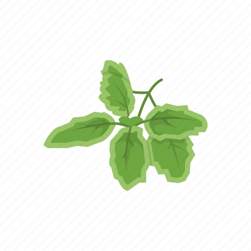 Herbs, oregano, plant, seasoning, spices, sweet marjoram, wild marjoram icon - Download on Iconfinder