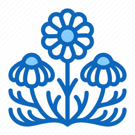 Chamomile, flower, herb, medicinal, plant icon - Download on Iconfinder