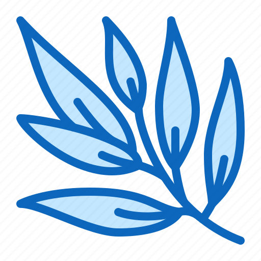 Herb, medicinal, plant, willow icon - Download on Iconfinder