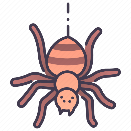 Danger, fear, halloween, horror, insect, poison, spider icon - Download on Iconfinder