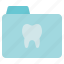 dental care, dentist, folder, document, patient, file, tooth 
