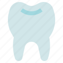 dental care, dentist, teeth, tooth