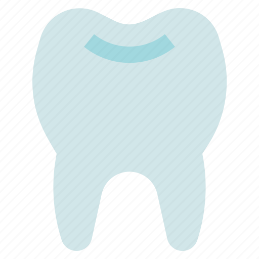Dental care, dentist, teeth, tooth icon - Download on Iconfinder