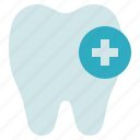 dental care, dentist, healthy, tooth