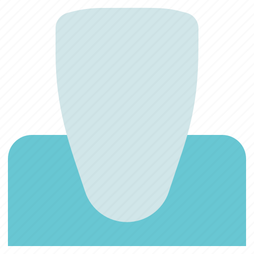 Dental care, dentist, incisor, tooth icon - Download on Iconfinder