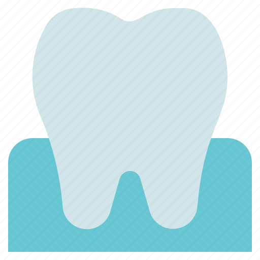 Dental care, dentist, medical, teeth and gum icon - Download on Iconfinder