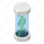 chromosome, dna, dna helix, dna research, gene, genetic cell, inheritance cell 