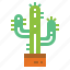 cactus, desert, nature, west 