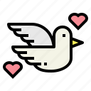bird, dove, peace, pigeon