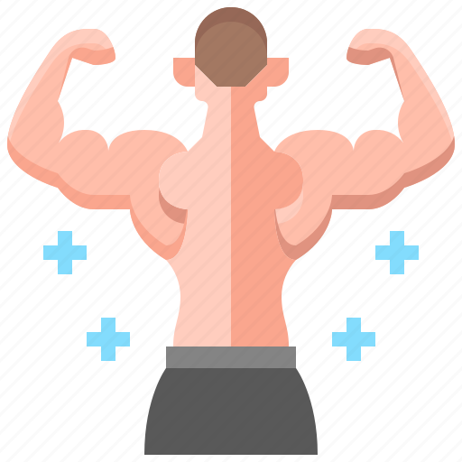 Gym, fitness, weight, healthy, muscle, training icon - Download on Iconfinder
