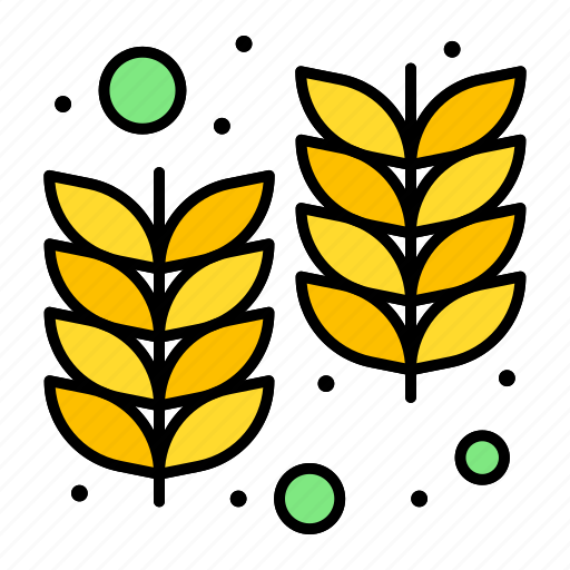 Farm, holi, india, wheat icon - Download on Iconfinder