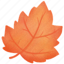 autumn, leaf, nature, plant, dry leaf, park, fall