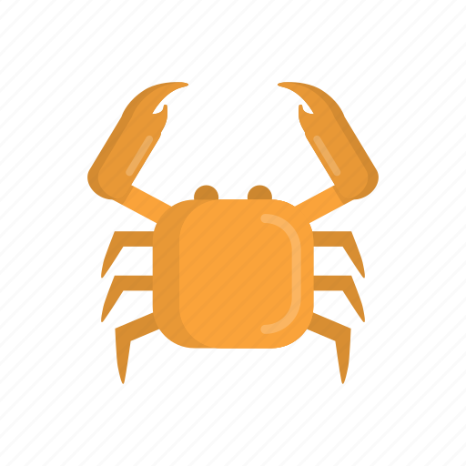 Animal, beach, cancer, crab, food, restaurant, seafood icon - Download on Iconfinder