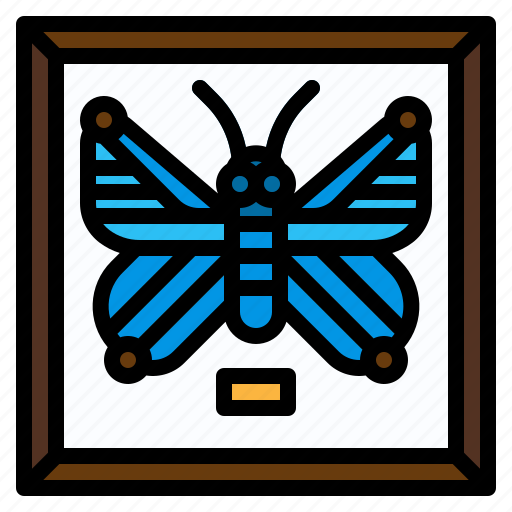 Animal, collection, entomological, insect, miscellaneous icon - Download on Iconfinder