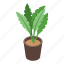 home, office, plant, pot, isometric 