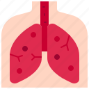 lungs, breath, cancer, anatomy, medical, assistance, lung, breathing