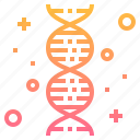 chromosome, dna, gene, genetic, genome, hospital