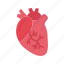 cardiology, pulse, heart, ecg, organ, cardiovascular, stethoscope, healthcare 