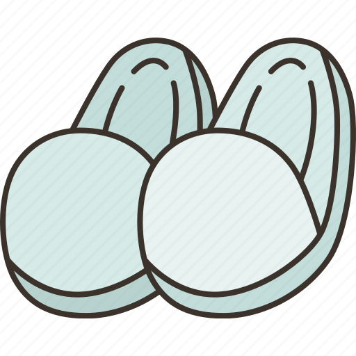 Slippers, comfort, cozy, foot, wear icon - Download on Iconfinder