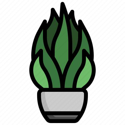 Aloe, vera, flora, tropical, plant, house, plants icon - Download on Iconfinder