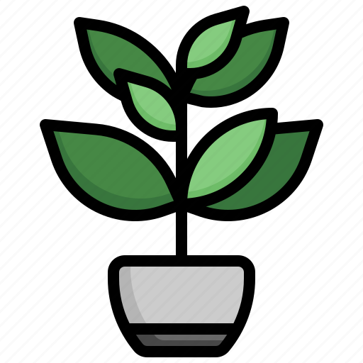 Basil, house, plants, plant, flora, tropical icon - Download on Iconfinder