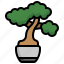 bonsai, japan, plant, botanical, nature 