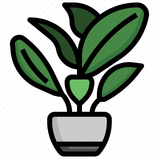Dumb, cane, house, plants, flora, tropical, leaf icon - Download on Iconfinder