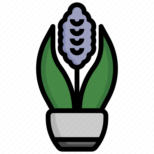 Hyacinth, farming, botanical, blossom, flowers icon - Download on Iconfinder