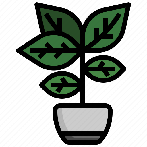 Leaf, plant, house, plants, flora, tropical icon - Download on Iconfinder