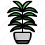 palm, leaf, tropical, plant 