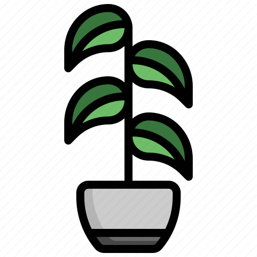Rubber, plant, house, plants, tropical, flora icon - Download on Iconfinder