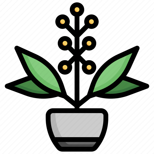 Wattle, plant, house, plants, flora, tropical icon - Download on Iconfinder
