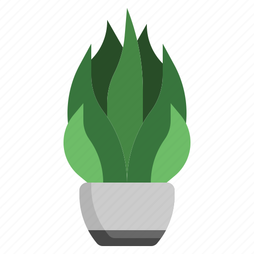 Aloe, vera, flora, tropical, plant, house, plants icon - Download on Iconfinder