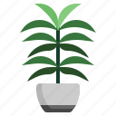 palm, leaf, tropical, plant