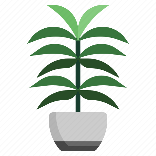 Palm, leaf, tropical, plant icon - Download on Iconfinder