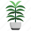 palm, leaf, tropical, plant 