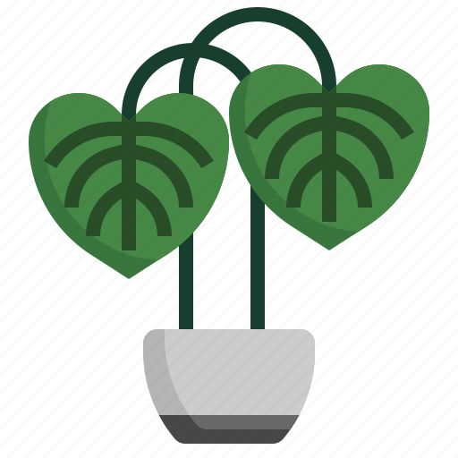 Philodendron, leaf, plants, house, flora icon - Download on Iconfinder