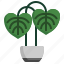 philodendron, leaf, plants, house, flora 