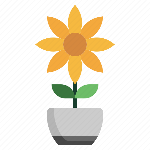 Sunflower, flower, botanical, blossom, petals icon - Download on Iconfinder