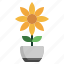 sunflower, flower, botanical, blossom, petals 