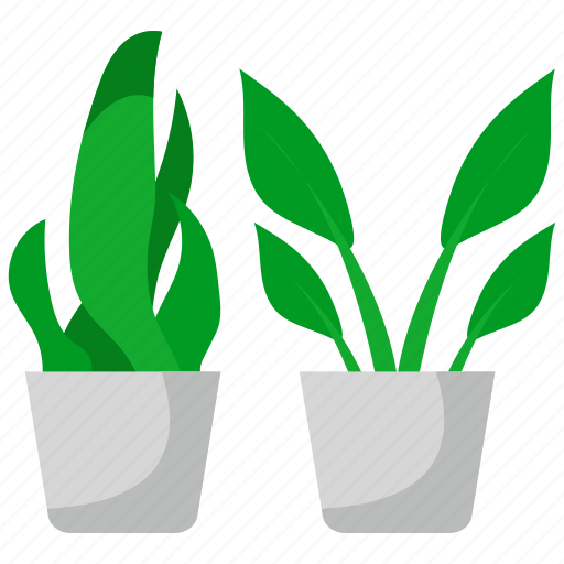 Houseplants, plant, pot, forest, nature, green, leaf icon - Download on Iconfinder