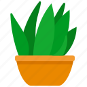 houseplants, plant, pot, forest, flower, nature, green, leaf