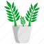 houseplants, zz plant, plants, house plant, pot, nature 