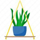 houseplants, plant, pot, flower, nature, green