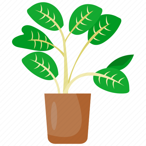 Houseplants, plant, pot, flower, nature, green, leaf icon - Download on Iconfinder