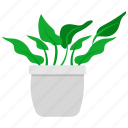 houseplants, plant, pot, nature, green, leaf, tree